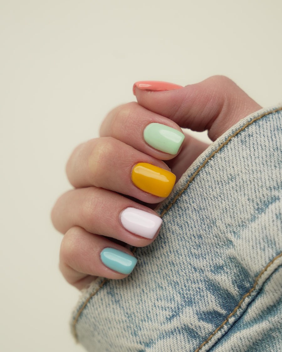 Spring Collection